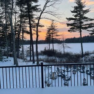 Meet your Posher, Molly